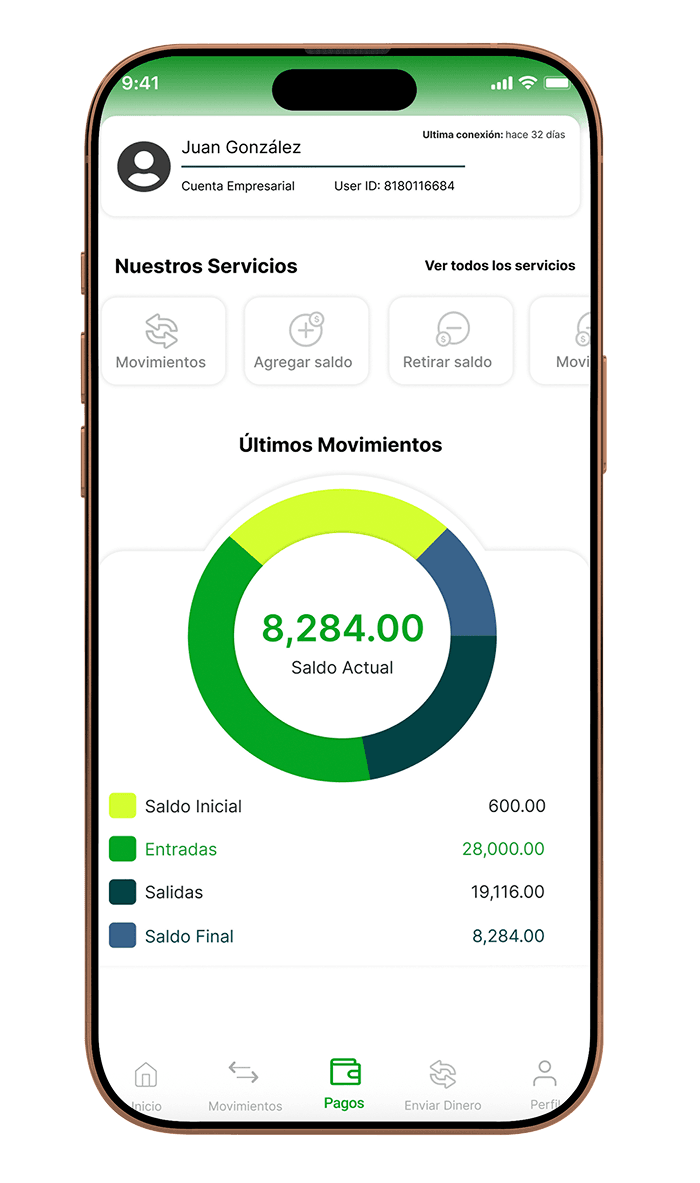 App Paycaster mostrando pantalla principal con balance y servicios